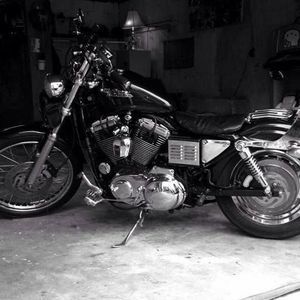 Meet your Posher, Chancey